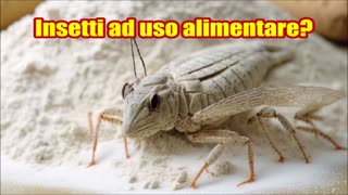 New 23/02/2024 Insetti ad uso alimentare?