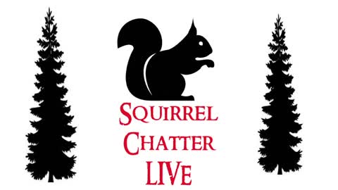 Squirrel Chatter Live - 08OCT2021