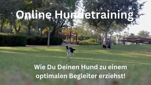 online Hundetraining