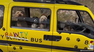 Qubercare Puppy Pawty Bus