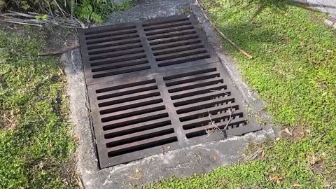 THE GRATE ESCAPE ARTIST: Woman Pulled From Third Storm Drain In Two Years