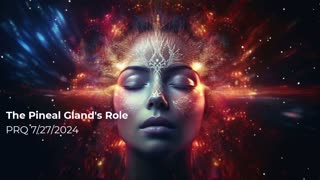 The pineal gland's role 727/2024