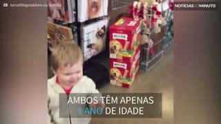 Criança e cão gigante fazem amizade