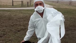 Here's How To Put A Hazmat Suit On Your Pet