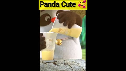 Cute panda video #panda video