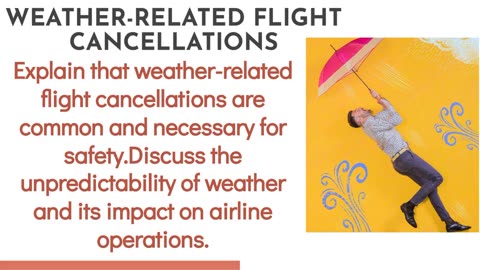 What Happens If American Airlines Cancels My Flight Due To Weather? | 2023