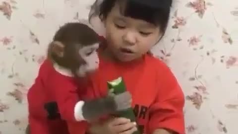 Monkey Business