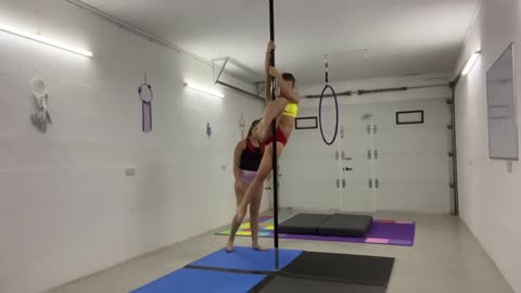Janka pole & stretch