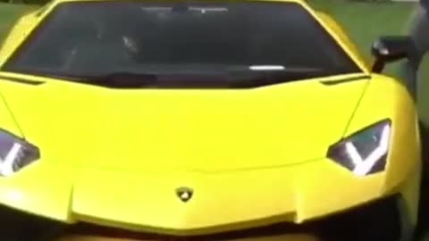 Short Lamborgini