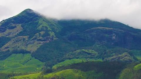 Hidden Gems To Discover In Munnar