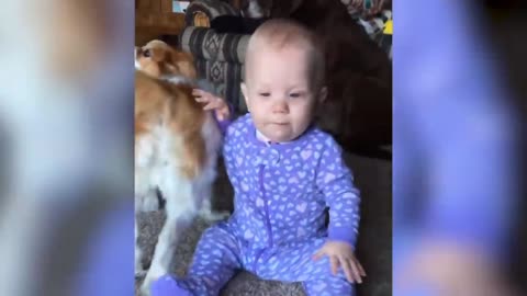 THE DOG IS SLAPING THE BABY USING ITS TALE