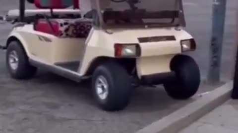 Drunk Driving The Golf Cart