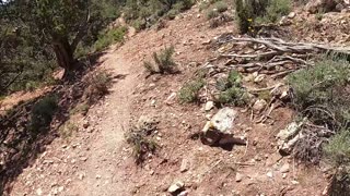 Hiking at the Grand Canyon