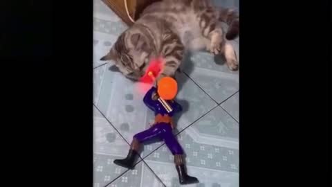 Leave Me Alone Soldier! Cat hates new toy