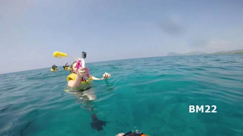 Electric Beach Dive Oahu Hawaii