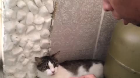 Cat and Owner Singing Duet