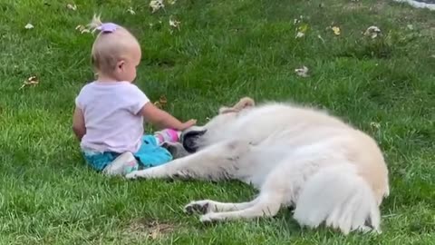 Dog vs cute little baby girl | Heart Touching |