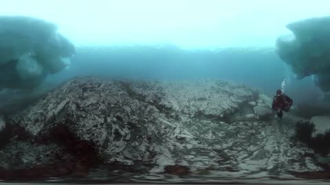 360° Diving Under Icebergs With A Seal In Antarctica #OurBluePlanet – BBC Earth