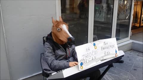 Street-performing 'horse' plays piano for very noble reason