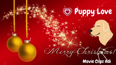 Funny Puppy video ❤️😊🥰 Marry Christmas 🎄🎄🎄🎄😊😊😍😍❤️❤️❤️