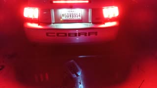 2004 Terminator Cobra (custom taillights)