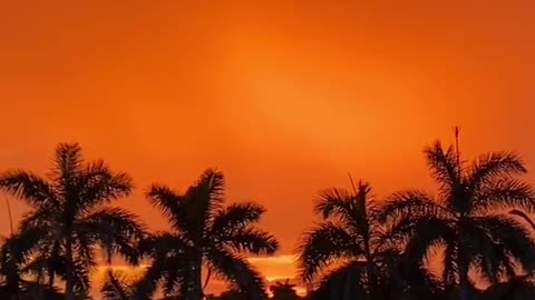 Miami sunset skies