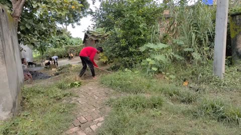 Beautiful Indian Rural Life | Raining Weather in Village Simple Life | Real Life in Indian Village