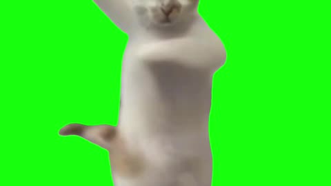 Dancing Cat Meme | Green Screen