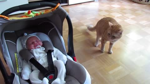 Cats Meeting Babies FIRST Time [NEW] Compilation