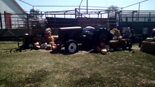 Klausmeyer Farm & Pumpkin Patch in Kansas