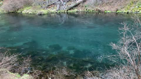 FLY FISHING ONLY – Metolius River – Central Oregon – 4K