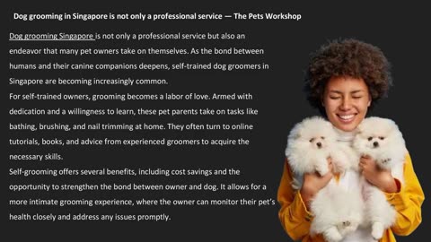 Dog grooming in Singapore is not only a professional service — The Pets Workshop