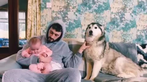 My Husky Is More Of A Baby Than My Newborn Baby!!! [CUTEST VIDEO EVER!!!]