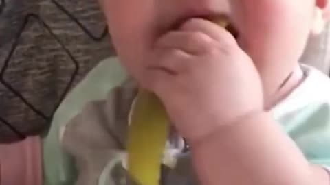 Funny Babies eating