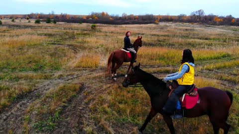 Two beautiful horses with equestrians are going in circle on the field