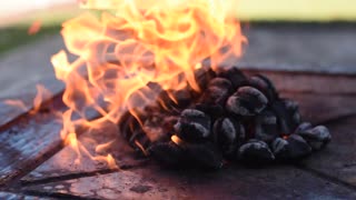 Coals burning and Set ablaze with lighter fluid