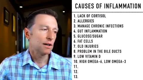 DrBerg-The Top 13 Causes Of Inflammation and How To Treat It Naturally