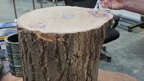 "Exploring the Effects: Checking the Absorption and Adding Varnish to the Oak Stump"