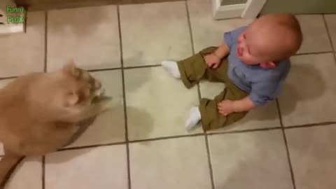 Funny baby laughing hysterically at cat!!
