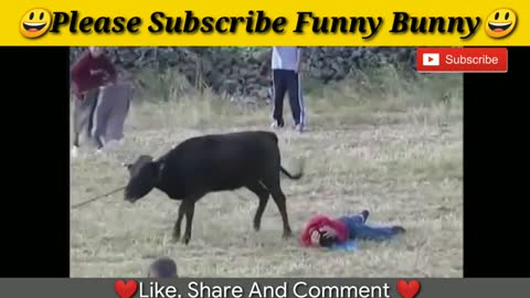 2021 Most awesome bullfighting festival funny crazy bull fails