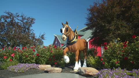 Clydesdale Horse Statue at Budwesier Warm Springs Ranch, Missouri Exterior