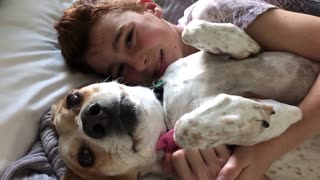 Kid hugs beagle on white bed