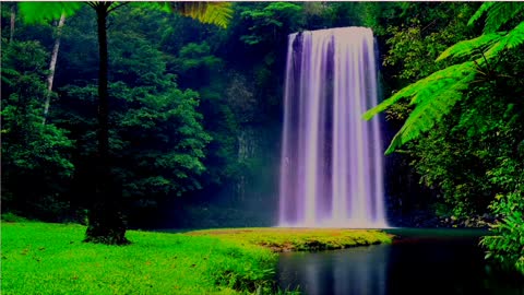Relaxing video Nature waterfall Tropical Rain