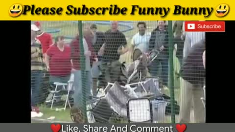Best funny videos 2020 Most awesome bullfighting festival funny crazy bull