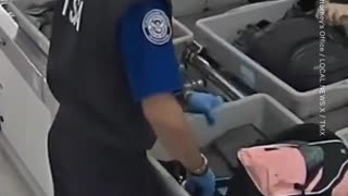 TSA Agent Caught Red-Handed Stealing From Passenger's Bag