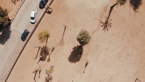 Aerial view of a herd of giraffes (Giraffa camelopardalis) in natural habitat, Tanzania