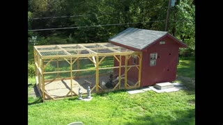 Chicken Coop 2013