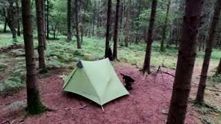 wildcamping in the woods
