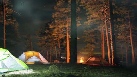 🔥Camping in the Forest | Relaxing Crackling Campfire🔥Jungle Night Ambience | Relaxing Nature Sounds