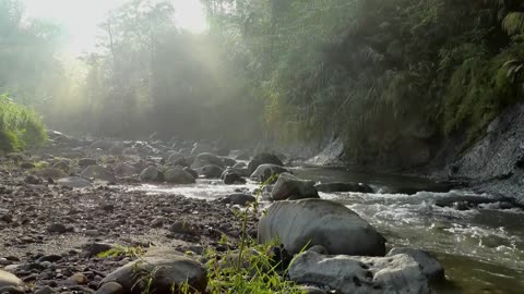 MUSIC RELAXING WITH NATURE RIVER PEACE